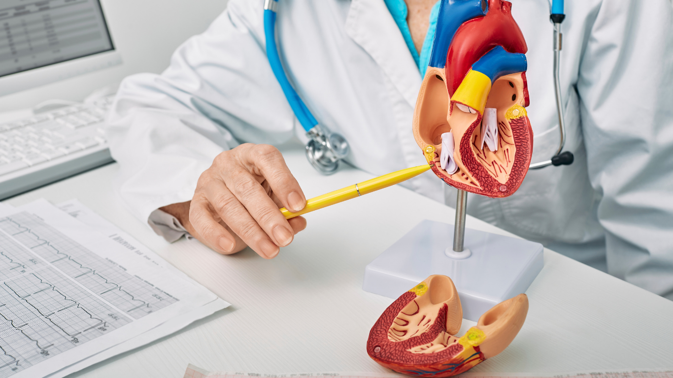 Cardiology