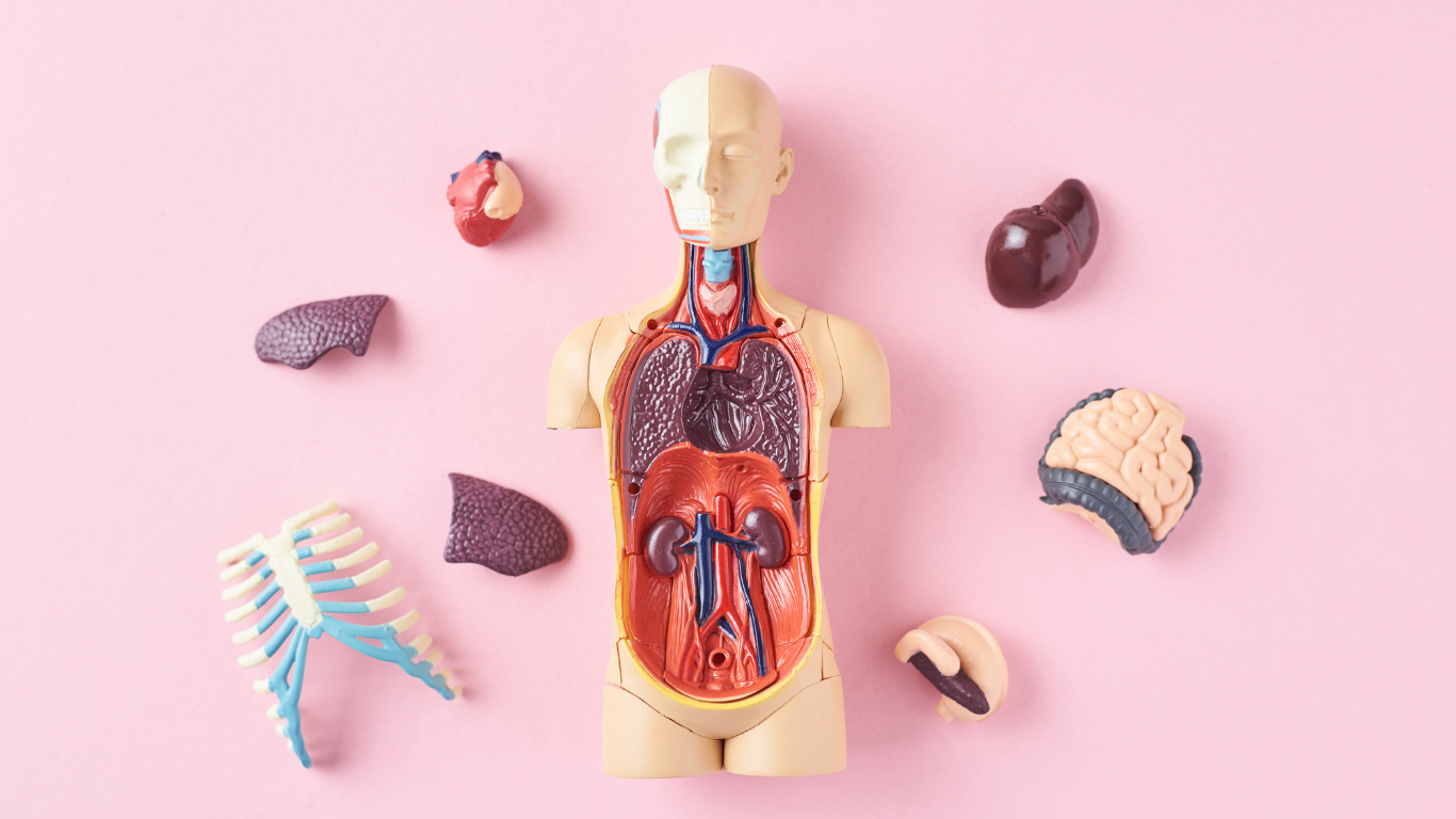General and Internal Medicine
